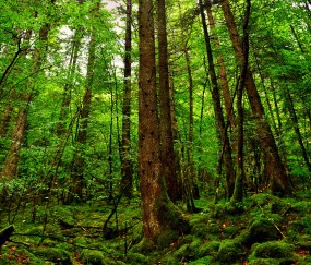 试管婴儿是不是自己（试管婴儿是自己丈夫的吗）