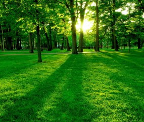 试管婴儿第二阶段需要多少钱（做试管第二次成功率是多少）