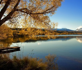 邵阳试管婴儿成功（邵阳试管婴儿医院哪家最好）