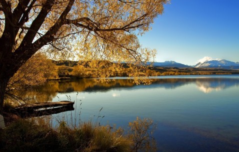 做试管婴儿对女性有什么伤害（做试管婴儿对女性的伤害大吗）