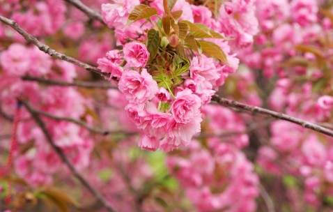 福州当地正规民营供卵机构名单，6家试管中心任你选！