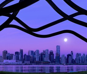 甲状腺激素吃什么好（甲状腺激素的食物）