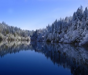 福州当地的私立供卵机构有哪些，高龄备孕家庭真等不起！