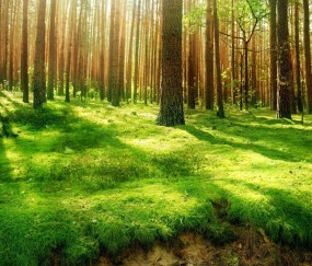 孕妇感冒咳嗽鼻干发热（孕妇感冒咳嗽鼻干发热吃什么药）