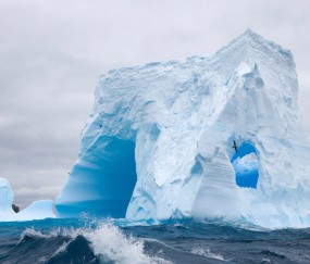 试管婴儿用哪个app好（试管婴儿好用的app）