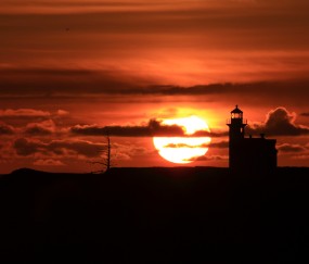 福州当地的私立供卵机构有哪些，供卵等待时间一看便知！