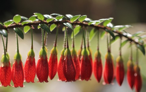 试管婴儿是什么时候进入国内的（试管婴儿什么时候发明的）