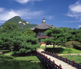 试管婴儿定方案后多久进周期（试管婴儿定方案重要吗）