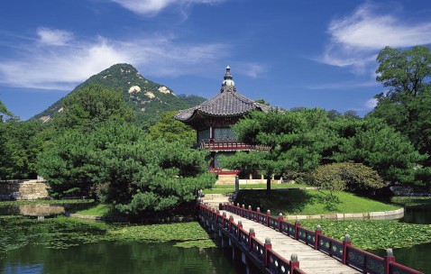 肚脐左上面疼怎么回事（肚脐左上方疼是怎么回事?）