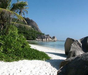 感冒有效药孕妇（感冒有效药孕妇可以吃吗）