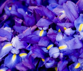 乌克兰试管哪家医院好（乌克兰试管正规中介）