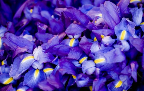 乌克兰试管哪家医院好（乌克兰试管正规中介）