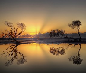 孕妇感冒会影响尿检吗（孕妇感冒尿常规白细胞会升高吗）