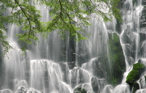 重庆试管医院哪个号（重庆试管婴儿哪个医院）