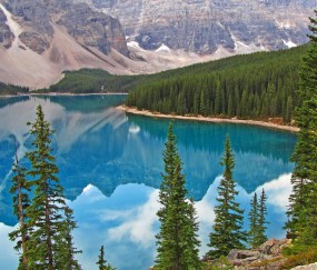 河北做试管婴儿（河北做试管婴儿哪里医院最好）