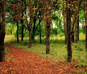 湖南省试管婴儿（湖南省试管婴儿哪个医院最好）