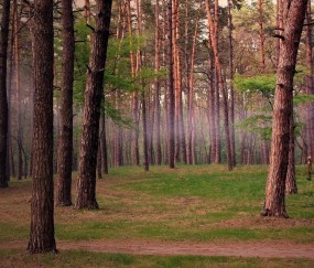 家里人感冒孕妇怎么处理（家里有人感冒会传染给孕妇吗?）