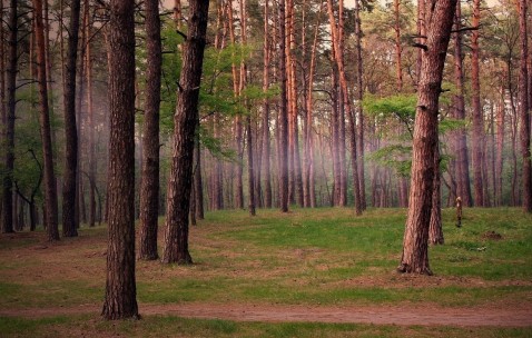做试管婴儿是不是自己的（试管婴儿是自己亲生的吗?）