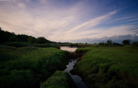 做试管婴儿的费用可以报销吗（做试管婴儿给报销吗?）