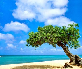 孕妇感冒夜里胸口出汗（孕妇感冒胸腔疼怎么办）