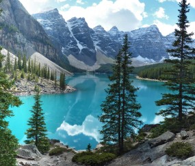 孕妇感冒可以喝红糖姜枣茶吗（孕妇感冒能喝红糖姜吗）