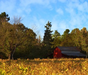 贵阳供卵生殖机构名单大全，助孕成功最快仅需28天！（贵阳哪里可以有偿捐卵）
