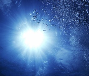 贵阳供卵生殖机构名单大全，附供卵管成功率、费用预算！（贵阳有没有捐卵的地方）