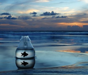 孕妇感冒在医生开的药可以吃吗（孕妇感冒可用药物）