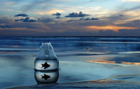 孕妇感冒为什么会头晕恶心呕吐（孕期感冒了头晕恶心怎么办?）