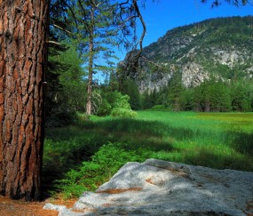 试管婴儿过程跟造影哪个痛（试管婴儿取卵疼还是造影疼）
