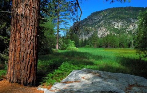 贵阳供卵试管助孕医院排名汇总，附2024供卵试管生男孩前十医院名单！的简单介绍