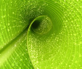 孕妇中期感冒对胎儿有什么影响（怀孕中期感冒对胎儿有影响吗）