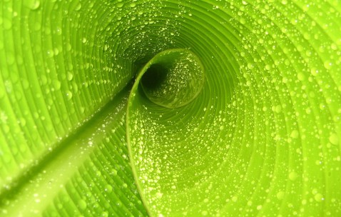 小孩咳嗽喝中药最少要喝几天能好（小孩咳嗽喝中药管用吗）