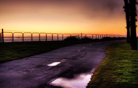 小孩发烧咳嗽可以吃菠萝蜜（小孩发烧能不能吃菠萝蜜）