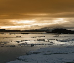 怀孕初期吃菠萝会肚子疼吗（孕早期吃菠萝吃太多会有什么影响）