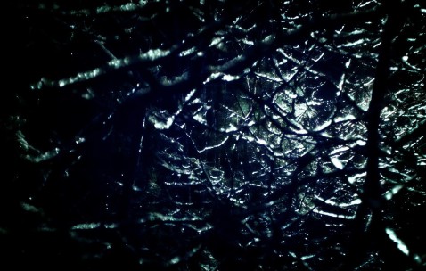 吃什么食物对肝脏排毒（吃什么对肝的排毒好）