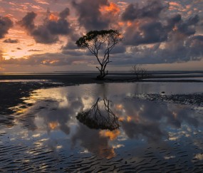 小孩感冒咳嗽可以吃生洋葱吗（宝宝感冒咳嗽可以吃洋葱圈么）
