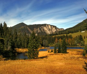 什么样的情况做试管（什么样的情况做试管也不行）