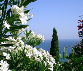 取环后月经很少怎么办