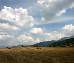 孕妇感冒发烧咳嗽吃什么好（孕期感冒咳嗽发烧）