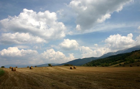 福州当地正规民营供卵机构名单，这几家做三代试管不用等！