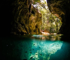 试管可以做男女吗（试管可以做男女吗,在哪里做）