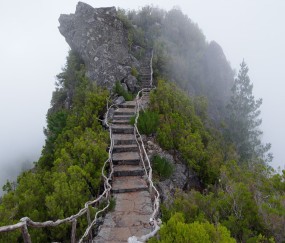 小孩流行感冒发烧反复烧（孩子流行感冒反复发烧）