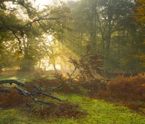 福州当地的私立供卵机构有哪些，供卵全流程花费明细！