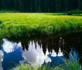 孕妇孕后期感冒咳嗽怎么办（孕晚期孕妇感冒咳嗽吃什么药）