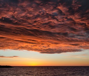 试管婴儿牌照申请条件（试管婴儿牌照申请条件及流程）